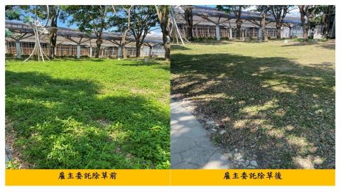 佳順園藝 - 雇主委託除草前後對照6