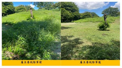 佳順園藝 - 雇主委託除草前後對照4