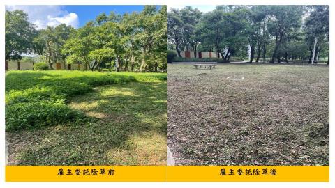 佳順園藝 - 雇主委託除草前後對照2
