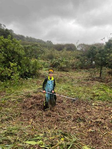 盧子揚 - 農地芒草拓荒
