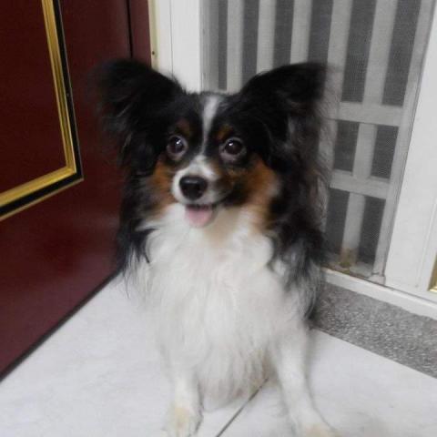 波波護士 - 江杰老師