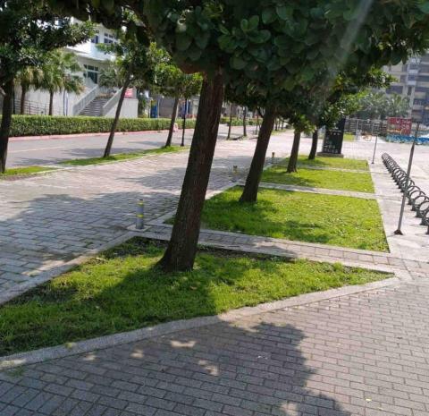 盧子揚 - 草坪修剪