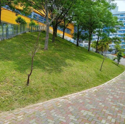 盧子揚 - 草坪修剪 