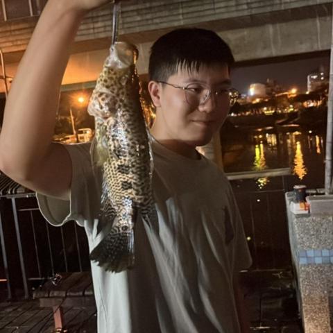 提供123心算服務的專家愛露迪