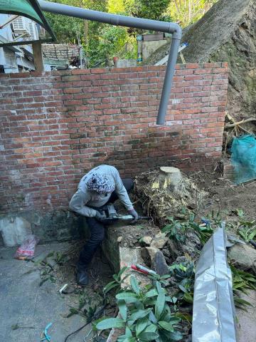 🪽森羽園藝 - 樹頭移除