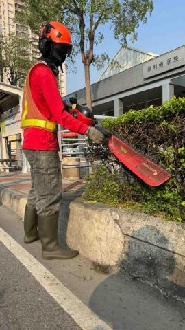 德霖園藝 - 綠籬修剪