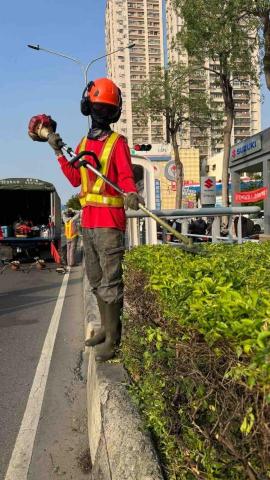 德霖園藝 - 綠籬修剪