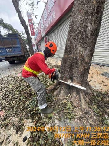 德霖園藝 - 鋸樹