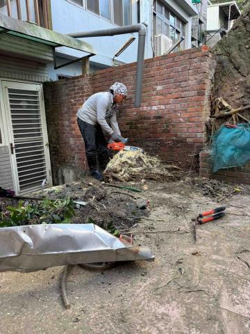 🪽森羽園藝 - 樹頭移除