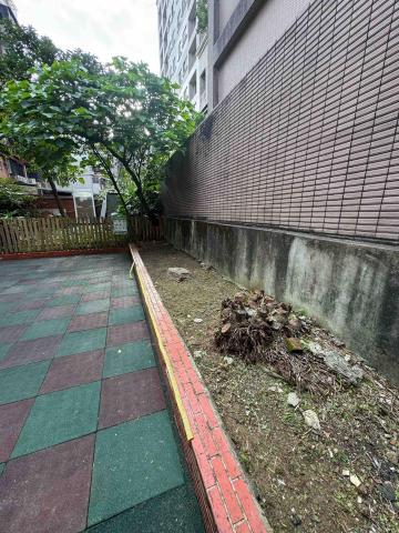 🪽森羽園藝 - 幼兒園除草