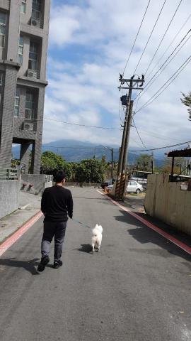 鄭安晴 - 寵物散步