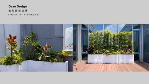 Daao design - 公司露台植栽規劃