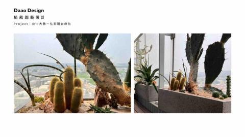 Daao design - 住家陽台植物規劃