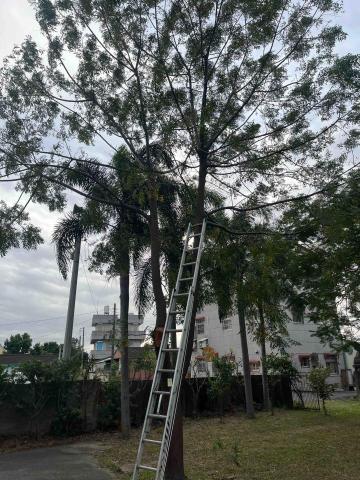 力捷拆除 - 沒鋸