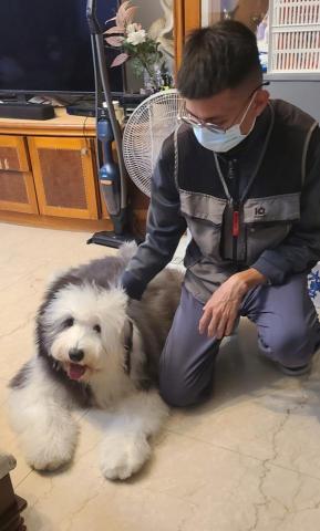 心 禾 狗 狗 教 學 - 