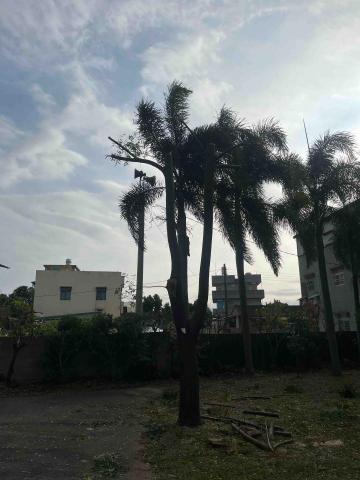 力捷拆除 - 鋸完