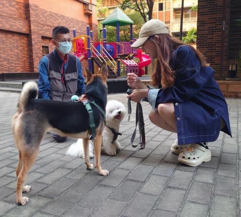 心 禾 狗 狗 教 學 - 