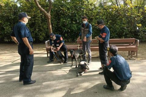 心 禾 狗 狗 教 學 - 