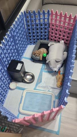 心 禾 狗 狗 教 學 - 