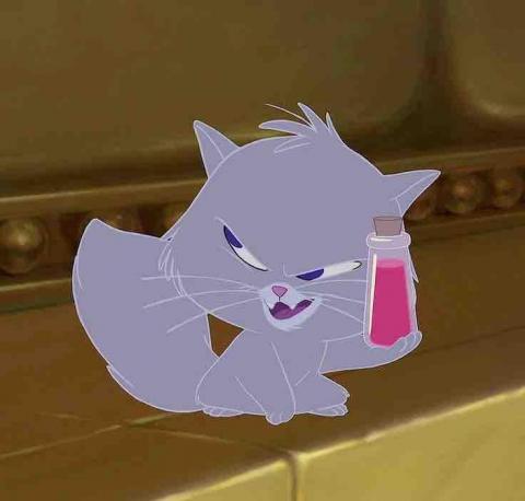 提供型錄服務的專家軒軒