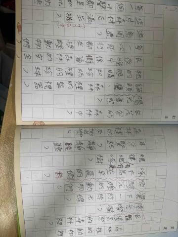 Anna - 學生作文作品