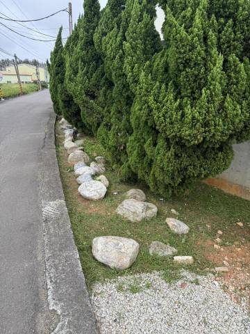 于森園藝企業社 （林先生） - 施工後