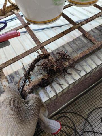 《速達通》水管包通\馬桶包通\各式水管堵塞 - 