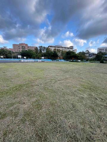 🪽森羽園藝 - 除草