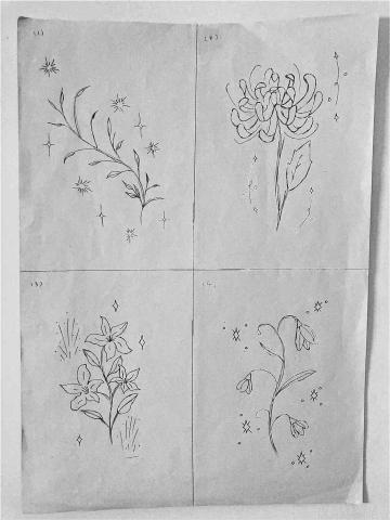 影子工作室 - 手繪植物
