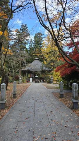 青埔機場個人接送 - 