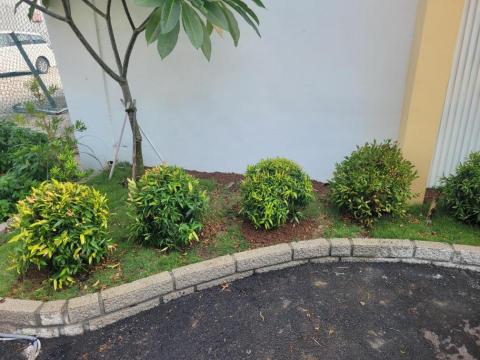 于森園藝企業社 （林先生） - 施工後