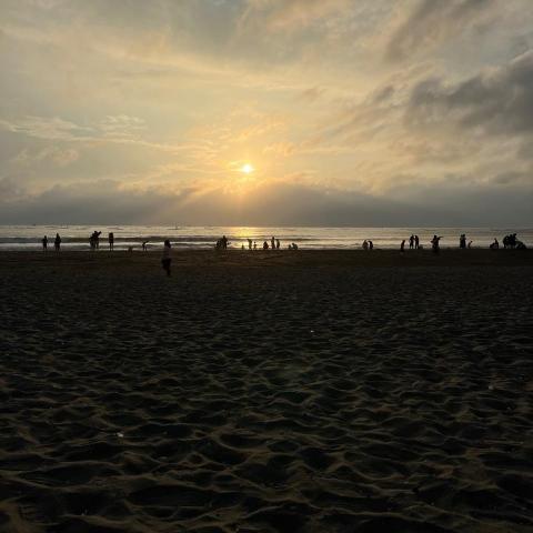 提供兼差服務的專家Alex