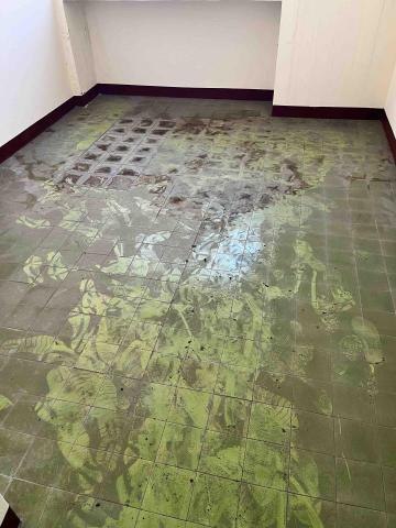 宸洋清潔工作室 - 地板灰塵油污處理前