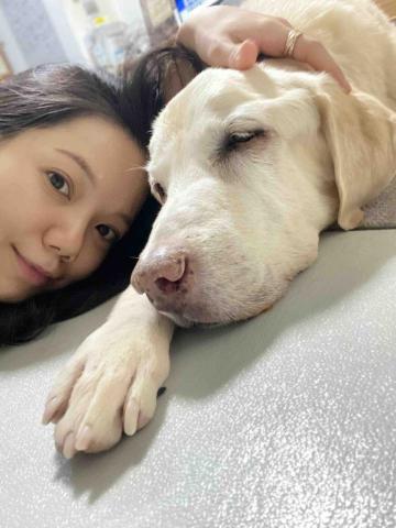 🔍毛孩的茱蒂姐姐|心靈茱湯 -  🔍毛孩的茱蒂姐姐|心靈茱湯 -