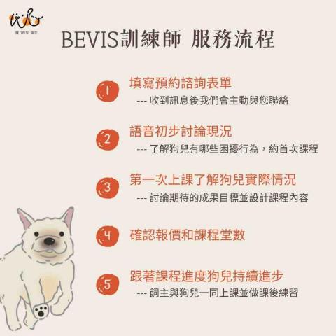 Bevis 寵物行為引導訓練師🐈⬛ -  Bevis 寵物行為引導訓練師🐈⬛ -