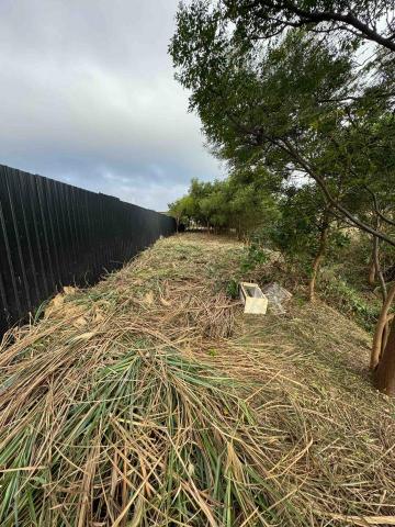 🪽森羽園藝 - 桃園農地除草