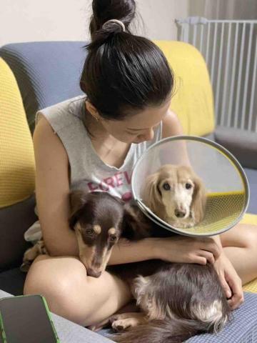 🔍毛孩的茱蒂姐姐|心靈茱湯 -  🔍毛孩的茱蒂姐姐|心靈茱湯 -