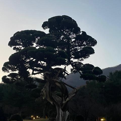 提供電梯維護保養服務的專家余培塏