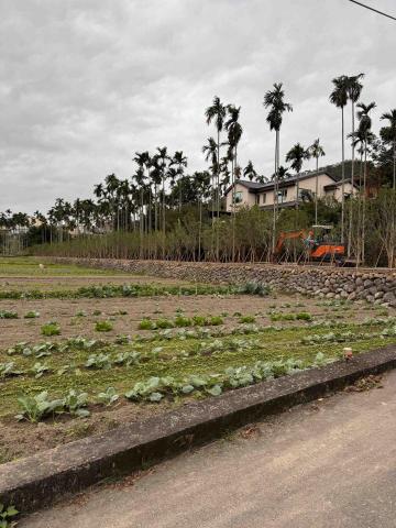 👑皇喬園藝《樹木修剪、伐木整地》 - 施工後