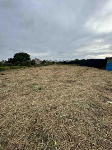 🪽森羽園藝 - 除草整地