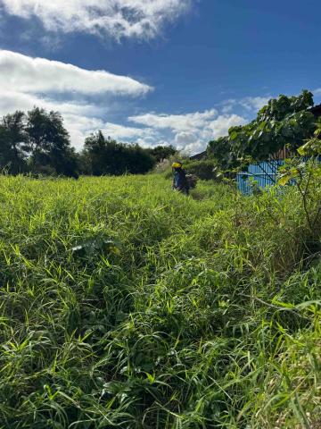 🪽森羽園藝 - 人工整地