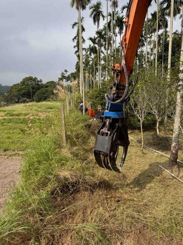 👑皇喬園藝《樹木修剪、伐木整地》 - 施工中