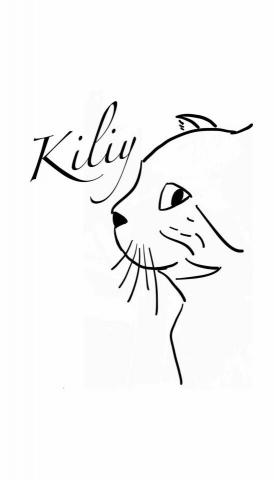 提供sbir代寫服務的專家陳可妮