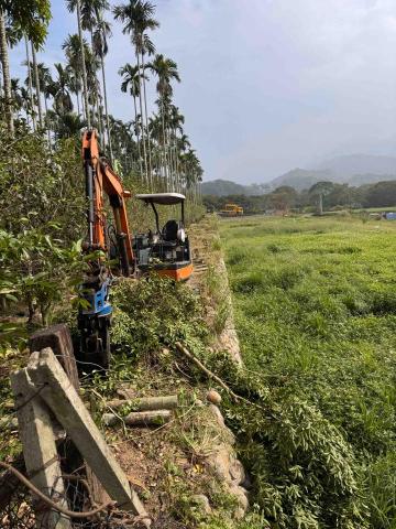 👑皇喬園藝《樹木修剪、伐木整地》 - 施工中