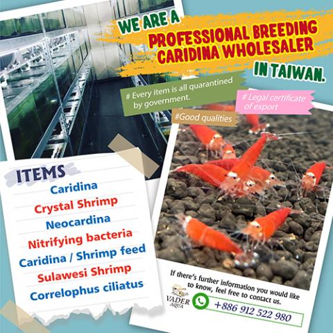 Joanne' Design - FB.IG介紹圖