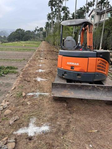 👑皇喬園藝《樹木修剪、伐木整地》 - 施工中