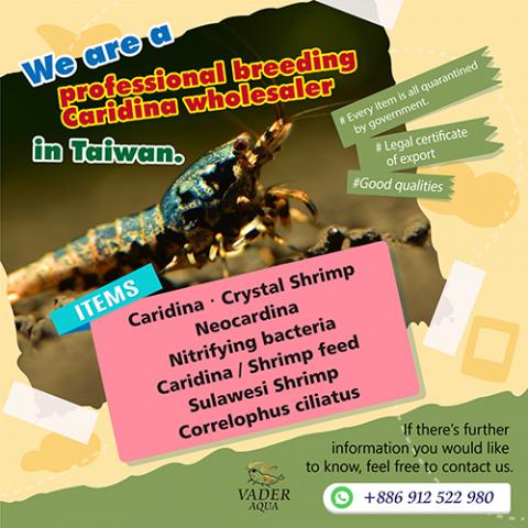 Joanne' Design - FB.IG介紹圖