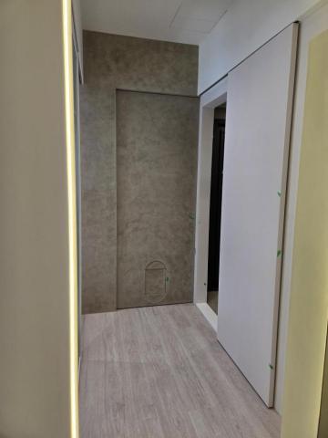 黃嘉文 - 隱藏式貓門推拉門