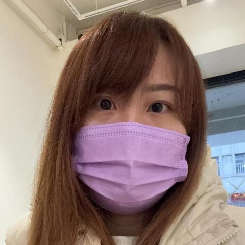 提供代拼樂高工作服務的專家Ping Chan