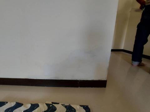 何美工程行 - 壁癌處理